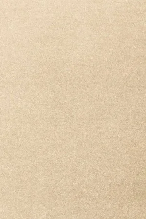 Ковровое покрытие AW Oinone 34 - (4м) в Ростове-на-Дону