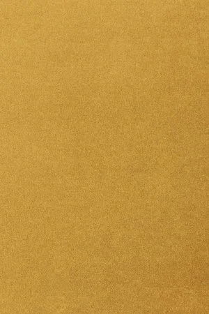 Ковровое покрытие AW Oinone 54 - (4м) в Ростове-на-Дону