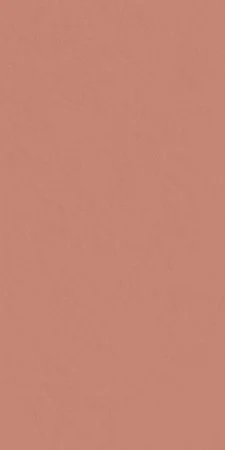 Керамогранит Italon Серфейс Скарлетт (Патинированная, 60x120) в Ростове-на-Дону