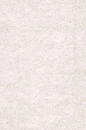 Ковровое покрытие AW Euphoria 03 - (5м) в Ростове-на-Дону