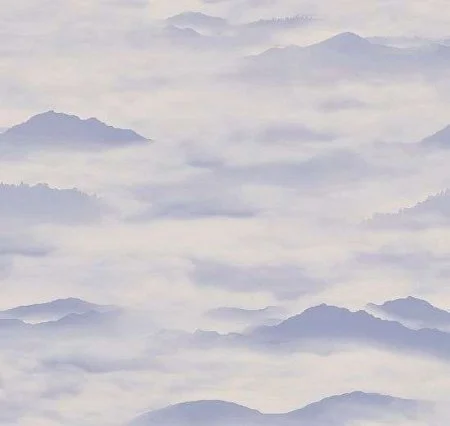 Обои Loymina Clair CLR4, 006 в Ростове-на-Дону