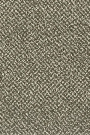 Ковровое покрытие AW Stainaway Tweed 24 - (4м) в Ростове-на-Дону