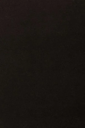 Ковровое покрытие AW Oinone 99 - (4м) в Ростове-на-Дону