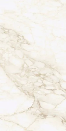 Керамогранит Coliseum Микеланджело Ворм 60х120 (Натуральный и Реттифицированный) в Ростове-на-Дону