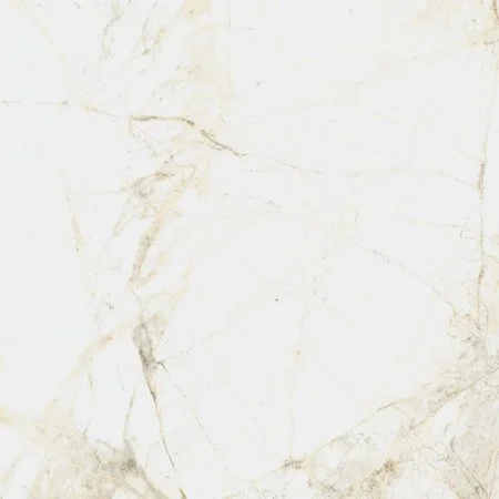 Керамогранит Coliseum Канова Уайт 60х60 (Натуральный и Реттифицированный) в Ростове-на-Дону