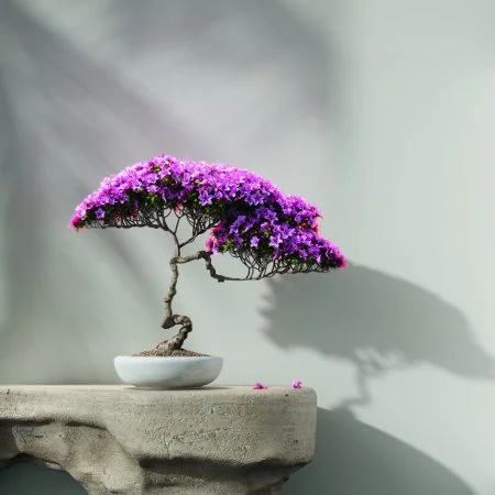 Обои Loymina Lotus LOT1 112 в Ростове-на-Дону