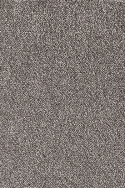 Ковровое покрытие AW Messalina 49 - (5м) в Ростове-на-Дону