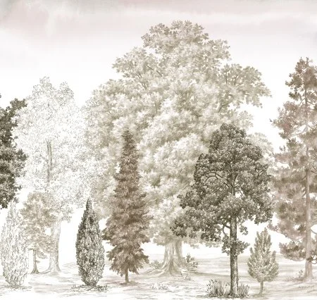 Обои Loymina Пейзаж vol. 2 ART14 012 в Ростове-на-Дону