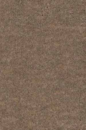 Ковровое покрытие AW Euphoria 36 - (4м) в Ростове-на-Дону