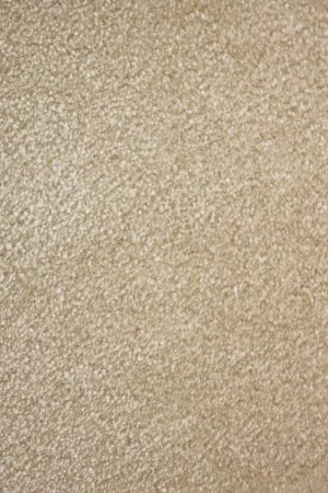 Ковровое покрытие AW Euphoria 33 - (5м) в Ростове-на-Дону