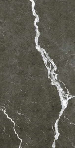 Керамогранит Coliseum Микеланджело Дарк 60х120 (Натуральный и Реттифицированный) в Ростове-на-Дону