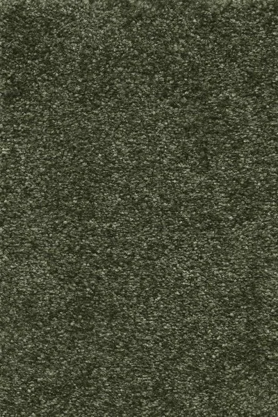 Ковровое покрытие AW Certosa 24 - (4м) в Ростове-на-Дону