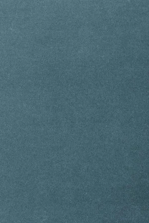 Ковровое покрытие AW Oinone 74 - (4м) в Ростове-на-Дону