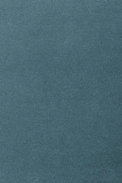 Ковровое покрытие AW Oinone 74 - (5м) в Ростове-на-Дону