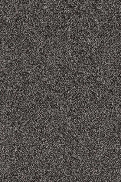 Ковровое покрытие AW Messalina 99 - (5м) в Ростове-на-Дону