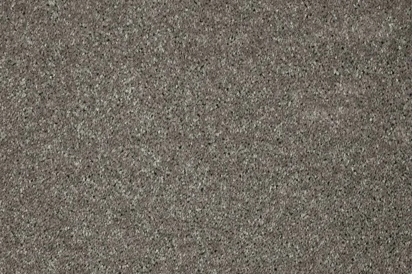 Ковровое покрытие AW Gala 94 - (5м) в Ростове-на-Дону