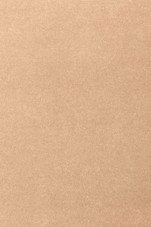 Ковровое покрытие AW Oinone 08 - (4м) в Ростове-на-Дону