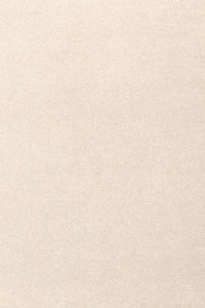 Ковровое покрытие AW Oinone 03 - (5м) в Ростове-на-Дону