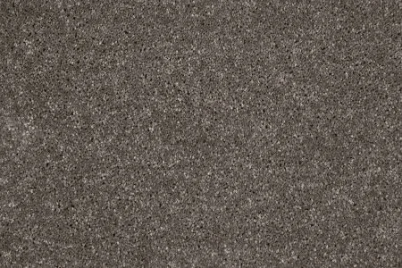 Ковровое покрытие AW Gala 49 - (5м) в Ростове-на-Дону