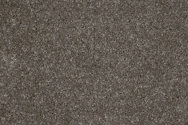 Ковровое покрытие AW Gala 49 - (4м) в Ростове-на-Дону