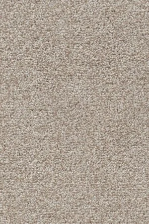 Ковровое покрытие AW Stainguard Harvest 04 - (4м) в Ростове-на-Дону