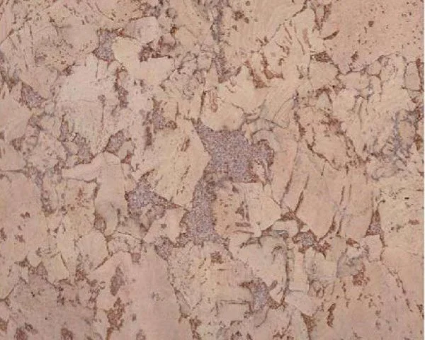 Настенное пробковое покрытие CorkArt PW 324 NK в Ростове-на-Дону