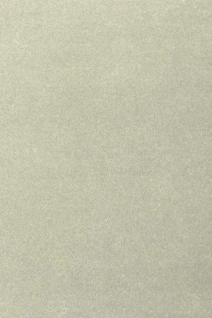 Ковровое покрытие AW Oinone 02 - (4м) в Ростове-на-Дону