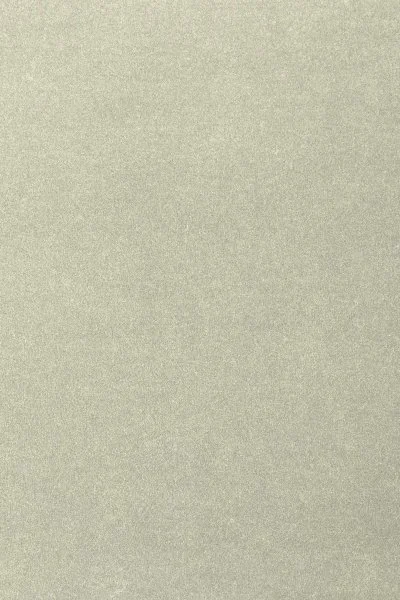 Ковровое покрытие AW Oinone 02 - (4м) в Ростове-на-Дону