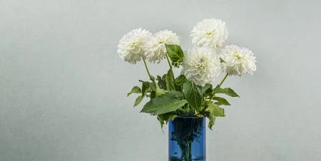 Обои Loymina Shade vol.2 SDR5, 001 в Ростове-на-Дону