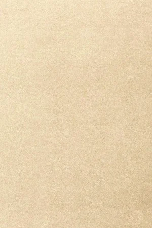 Ковровое покрытие AW Oinone 33 - (4м) в Ростове-на-Дону