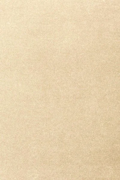 Ковровое покрытие AW Oinone 33 - (4м) в Ростове-на-Дону