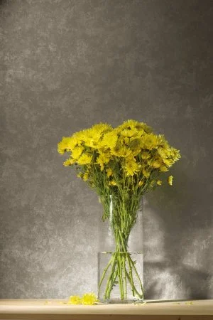 Обои Loymina Golden Library TDG 7, 008 в Ростове-на-Дону