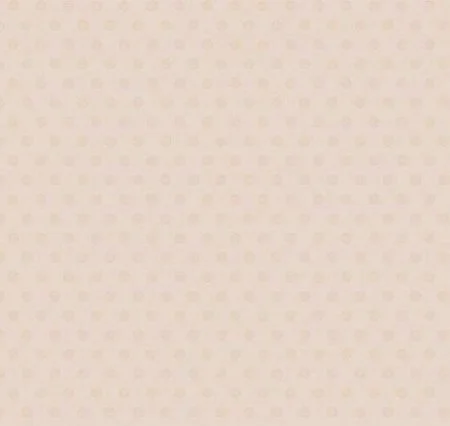 Обои Loymina Golden Library Q11, 002/1 в Ростове-на-Дону