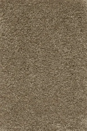 Ковровое покрытие AW Certosa 35 - (4м) в Ростове-на-Дону