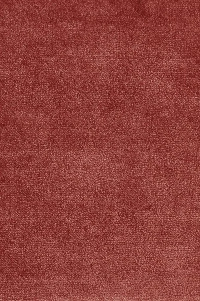 Ковровое покрытие AW Omphale 10 - (5м) в Ростове-на-Дону