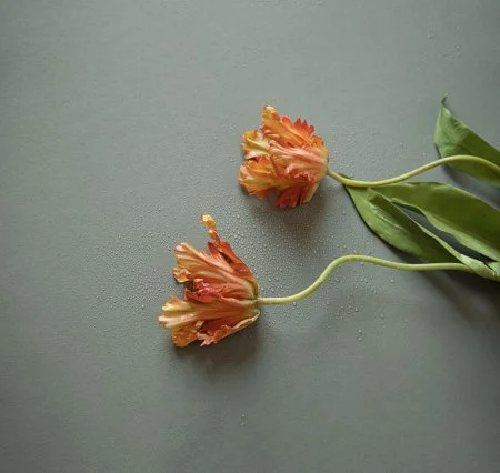 Обои Loymina Russian Classic Ru10, 006 в Ростове-на-Дону