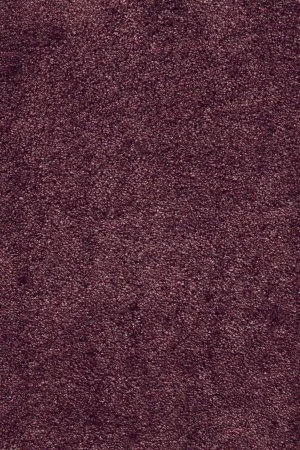 Ковровое покрытие AW Fedone 19 - (5м) в Ростове-на-Дону