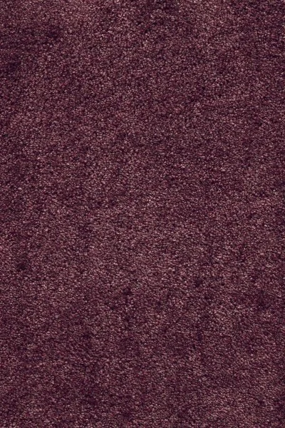 Ковровое покрытие AW Fedone 19 - (5м) в Ростове-на-Дону