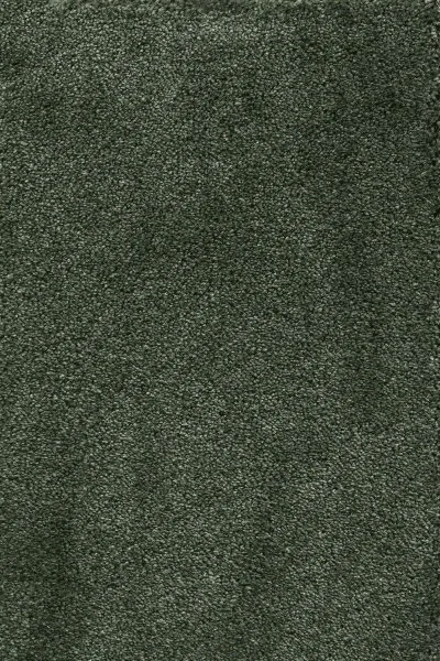 Ковровое покрытие AW Fedone 24 - (5м) в Ростове-на-Дону