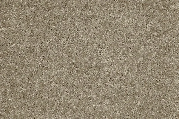 Ковровое покрытие AW Gala 33 - (4м) в Ростове-на-Дону