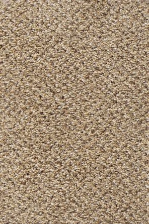 Ковровое покрытие AW Stainaway Tweed 50 - (4м) в Ростове-на-Дону