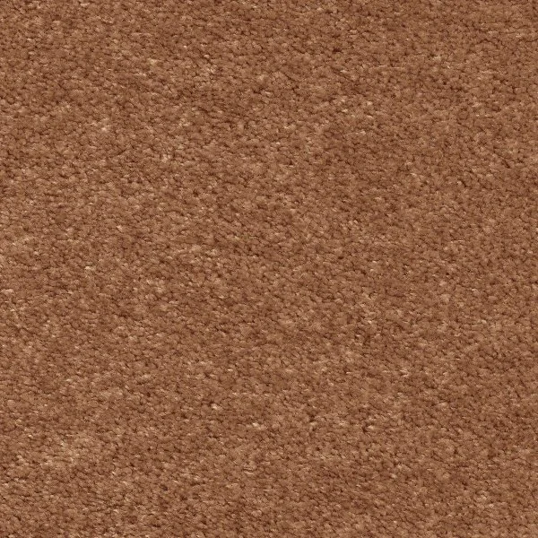 Ковровое покрытие AW Euphoria 84 - (5м) в Ростове-на-Дону