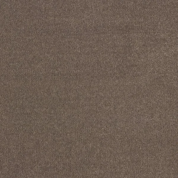 Ковровое покрытие AW Orseis 44 - (4м) в Ростове-на-Дону