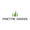 Искусственная трава Prettie Grass купить в Ростове-на-Дону по выгодной цене Искусственная трава Prettie Grass в Ростове-на-Дону