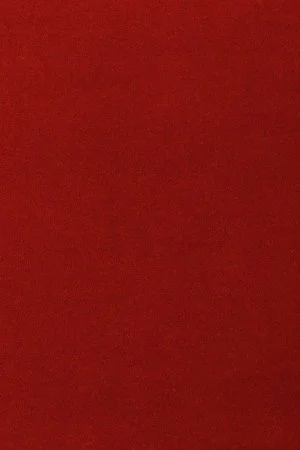 Ковровое покрытие AW Oinone 10 - (4м) в Ростове-на-Дону