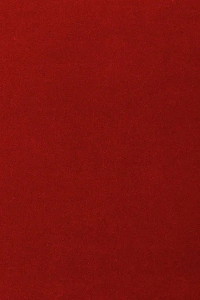 Ковровое покрытие AW Oinone 10 - (5м) в Ростове-на-Дону