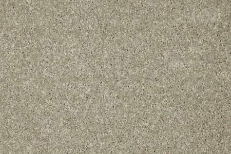 Ковровое покрытие AW Gala 03 - (5м) в Ростове-на-Дону