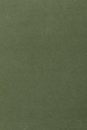 Ковровое покрытие AW Oinone 24 - (5м) в Ростове-на-Дону