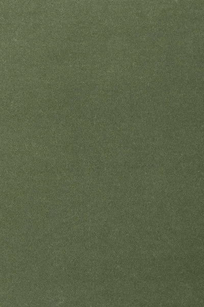 Ковровое покрытие AW Oinone 24 - (4м) в Ростове-на-Дону