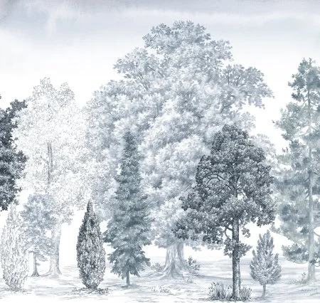 Обои Loymina Пейзаж vol. 2 ART14 006 в Ростове-на-Дону